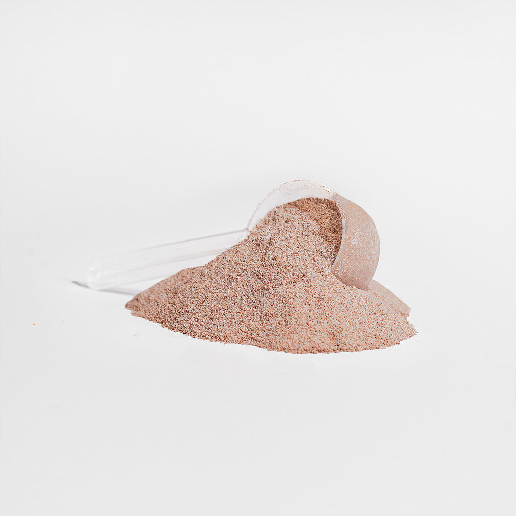 Ixora Grass-Fed Collagen Peptides Powder (Chocolate)